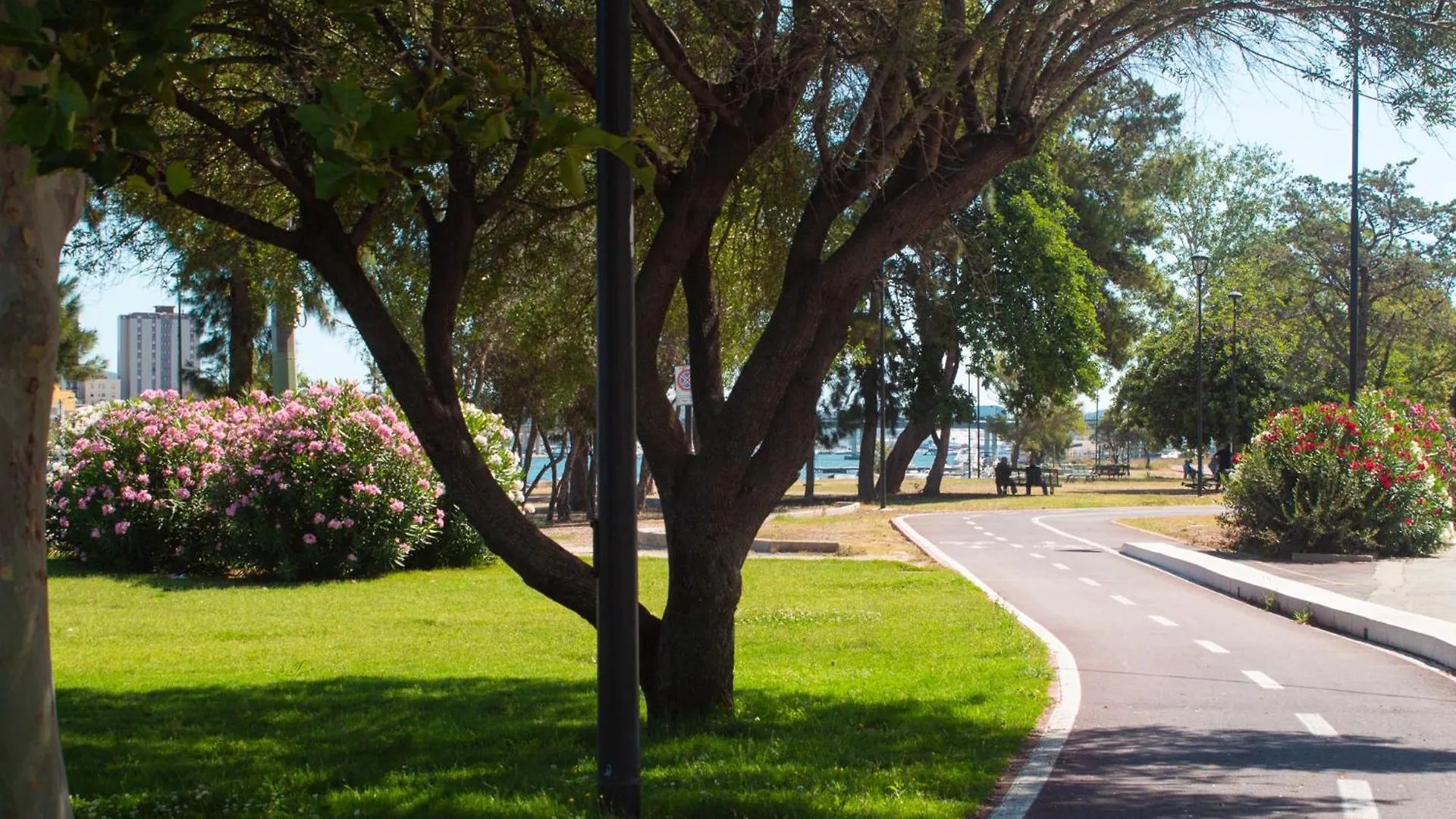 Iron-Bridge House, Elegant Apartment Bay Front Olbia